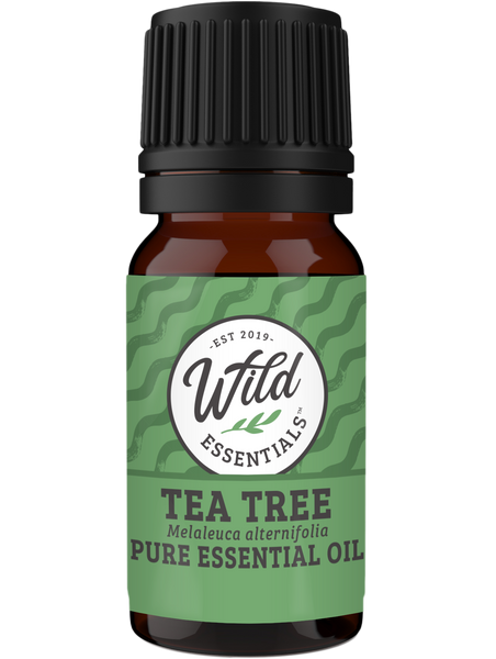 Essential Oil - Tea Tree - 10 ml Bottle