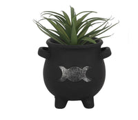 Cauldron Plant Pot